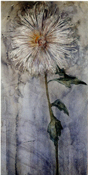 Piet Mondrian, Upright Chrysanthemum, 1901
