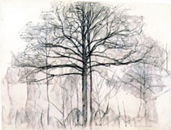 Piet Mondrian, Study of Trees I, 1912