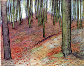 Piet Mondrian, Wood of Beech Trees, 1899